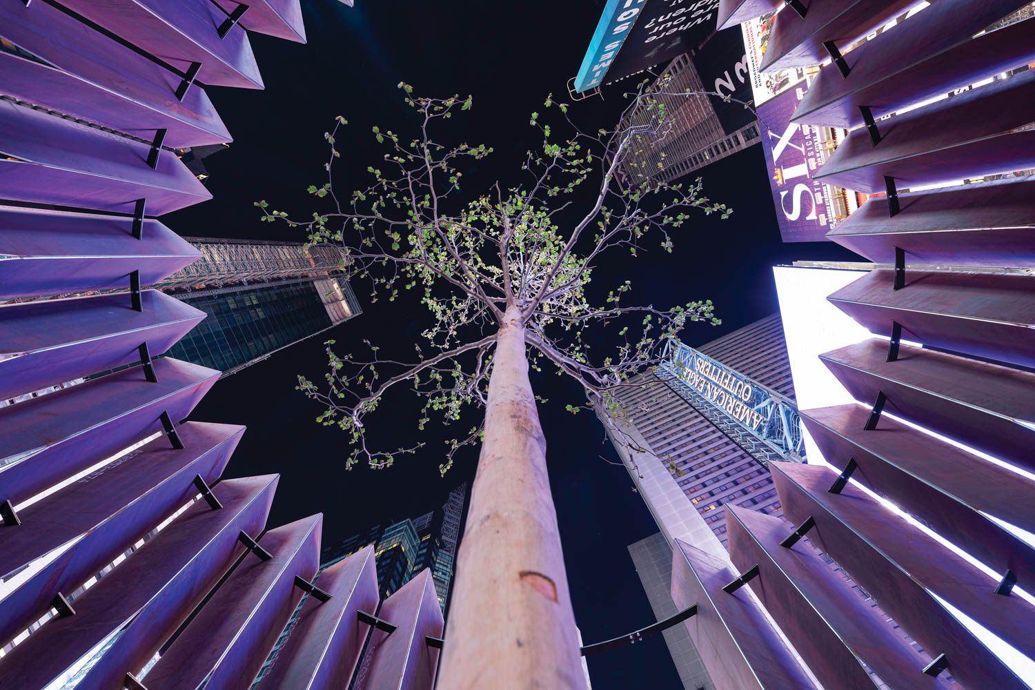 The centerpiece was a 20-foot-tall, certified organic London planetree