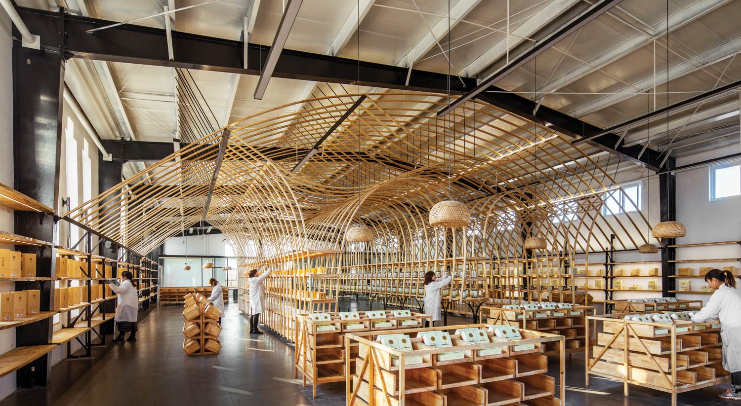 The 17-foot-tall canopy system nearly fills the 6,500-square-foot industrial building, its handmade quality nodding to how each piece of ice chrysan­the­mum is manually picked, dried, and baked by villagers (much of this industry disrupted in the last two years by COVID-19 and flooding); the 12 local vari­eties displayed here are for tour groups and distributors to browse before participating in livestream auctions. Like the canopy, the freestanding display units are also pine.