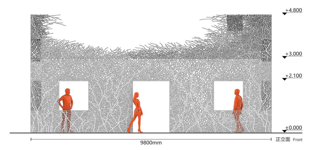 An illustration of the structure to scale. 