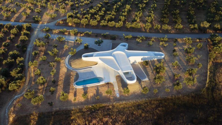 After fabrication was complete, the foam formwork was reused as the house’s insulation. An aerial view reveals how the completed structure anchors into the gently sloping olive grove.